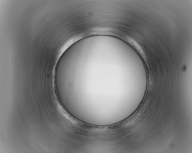 X0000090711386200707200942