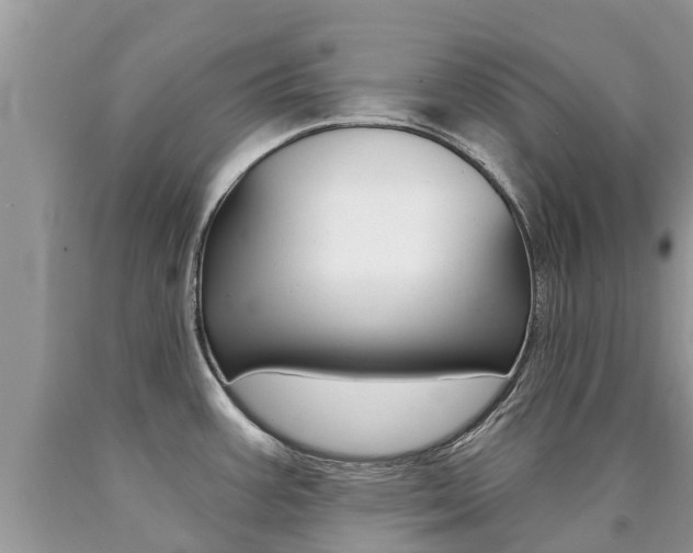 X0000090711387200707200942