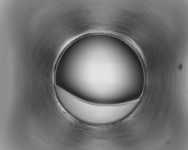 X0000090711388200707200942