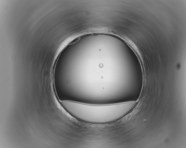 X0000090711389200707200941