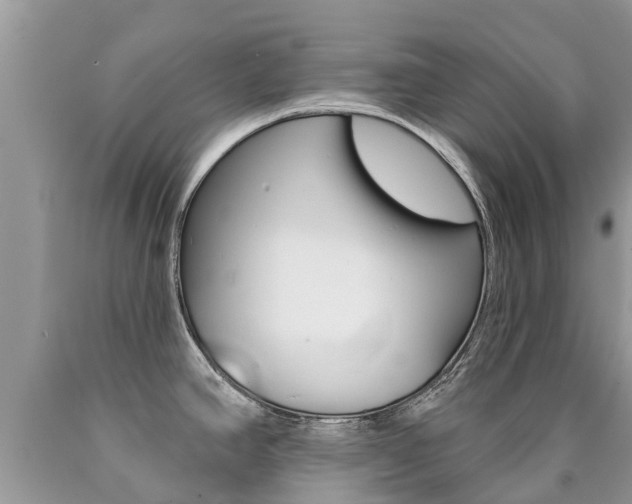 X0000090711390200707200941