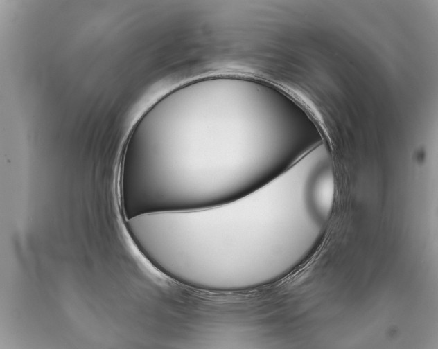 X0000090711391200707200941