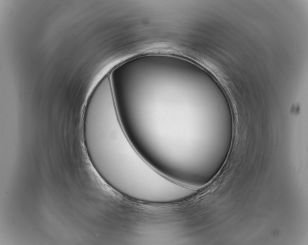 X0000090711392200707200941