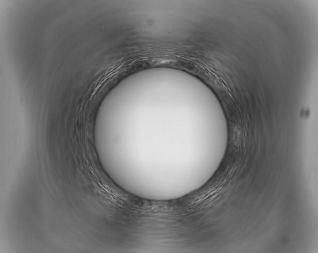 X0000090711393200707200941