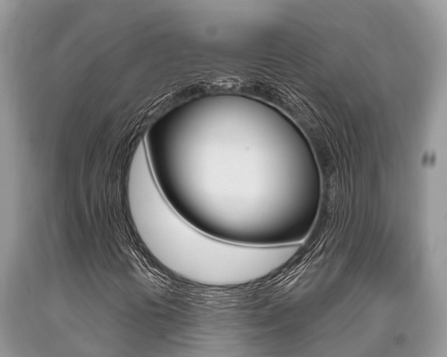 X0000090711394200707200941
