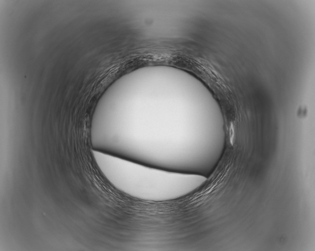X0000090711395200707200941