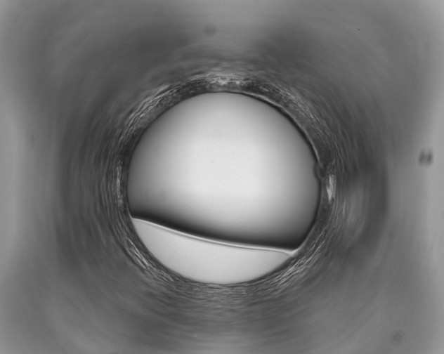 X0000090711396200707200941