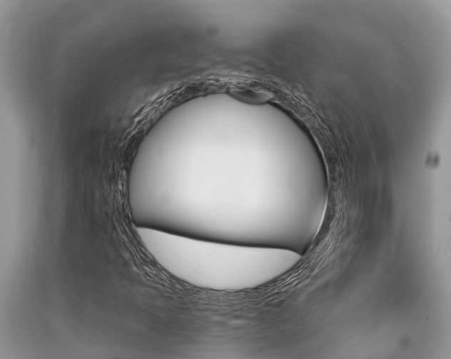 X0000090711397200707200941