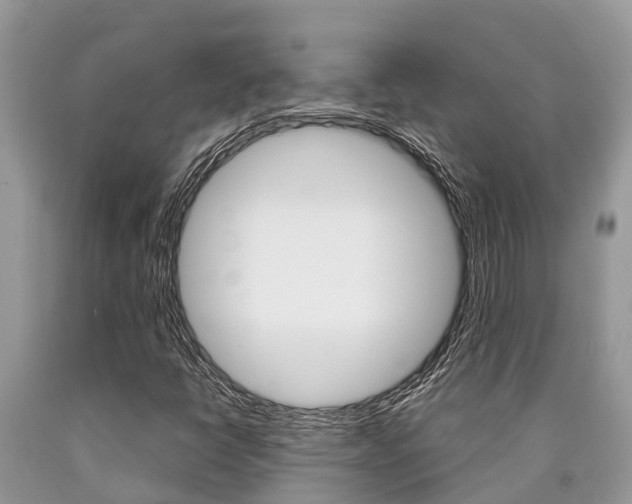 X0000090711398200707200941