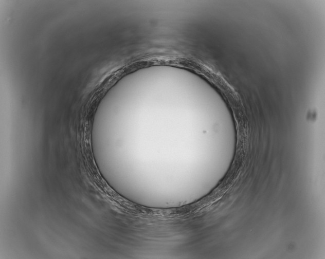 X0000090711399200707200941