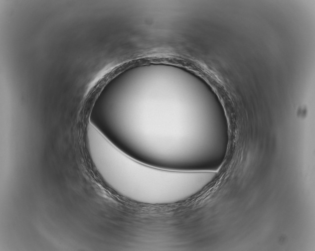 X0000090711400200707200941