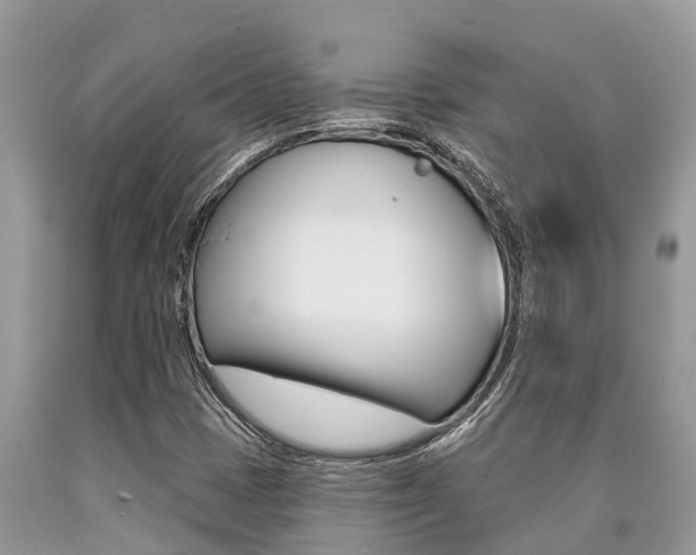 X0000090711401200707200941
