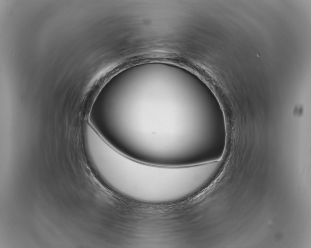X0000090711402200707200941