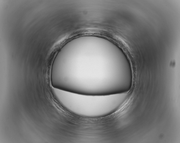 X0000090711403200707200941
