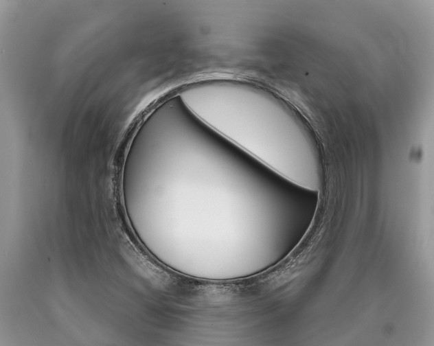 X0000090711404200707200941
