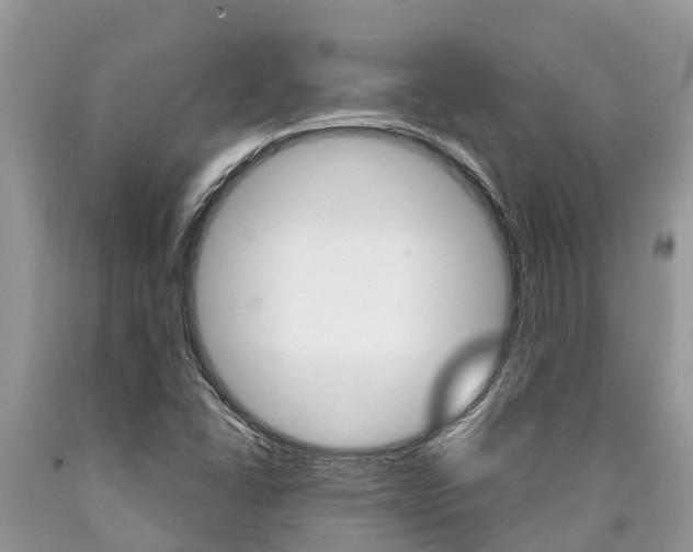 X0000090711406200707200941