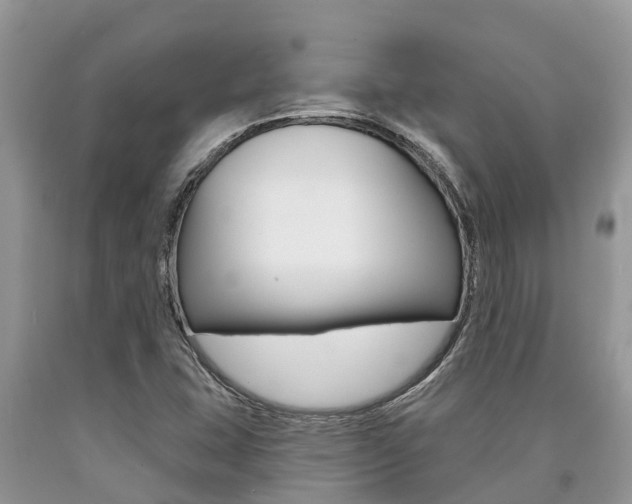 X0000090711407200707200941