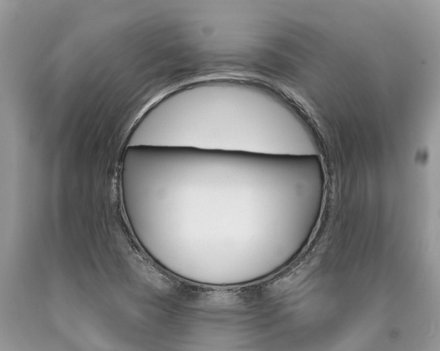 X0000090711409200707200941