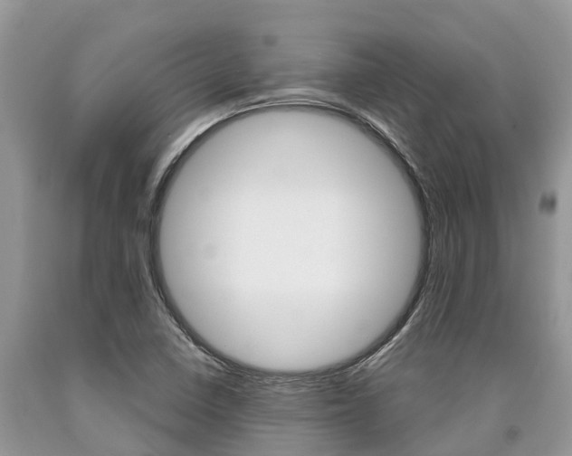 X0000090711410200707200941