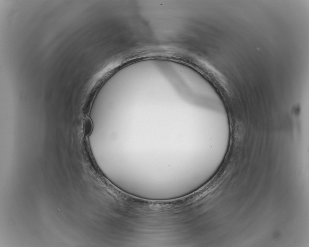 X0000090711411200707200941