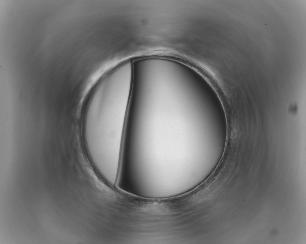 X0000090711414200707200941
