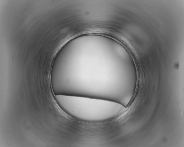 X0000090711417200707200941