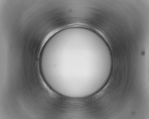 X0000090711418200707200941