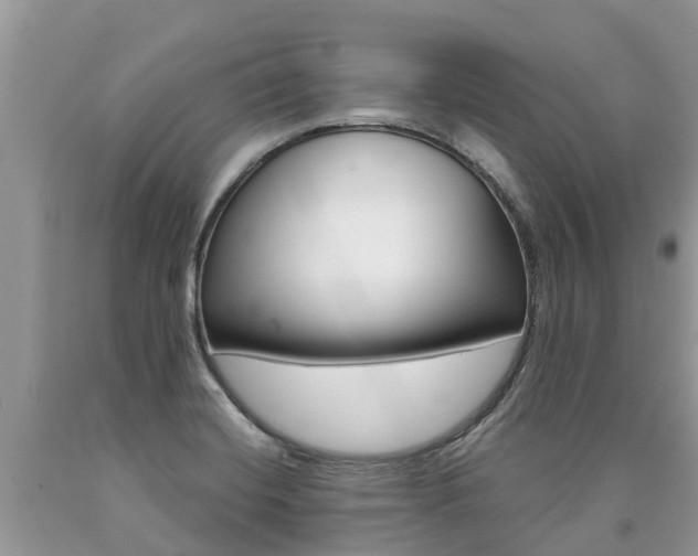 X0000090711420200707200941