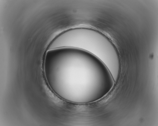 X0000090711422200707200941