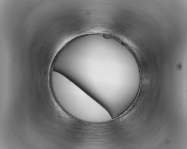 X0000090711423200707200941