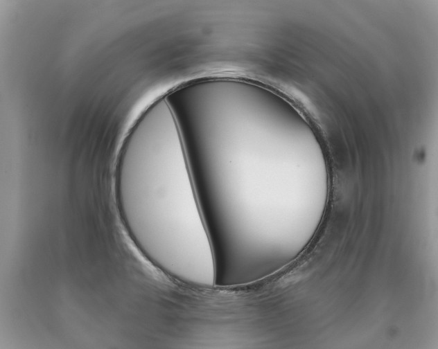 X0000090711424200707200941