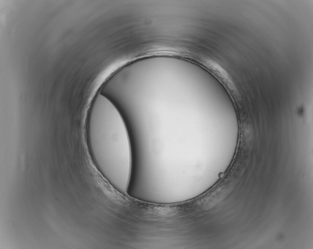 X0000090711427200707200941