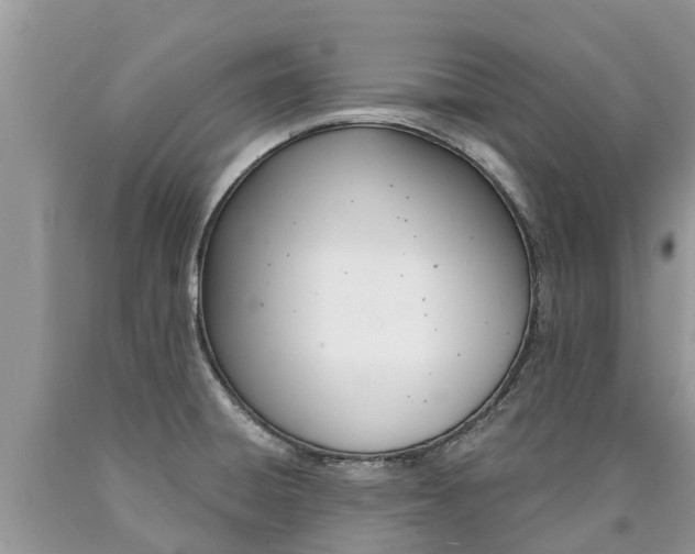 X0000090711428200707200941