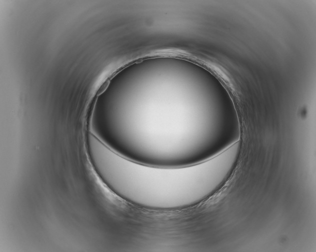 X0000090711430200707200941