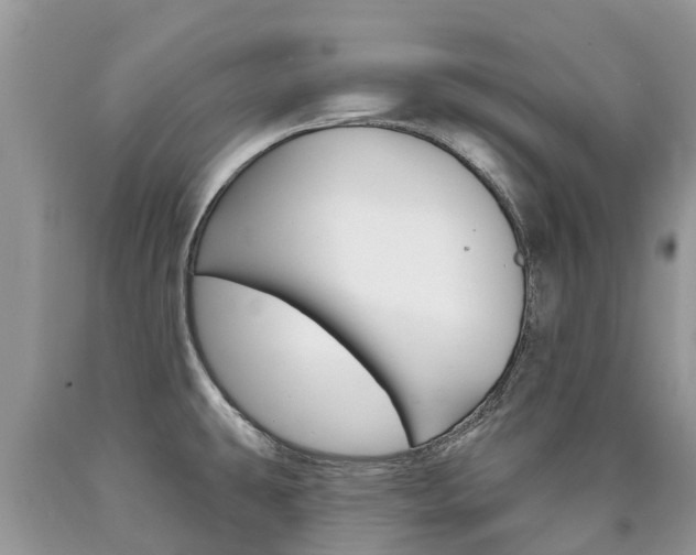 X0000090711431200707200941