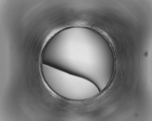 X0000090711432200707200941