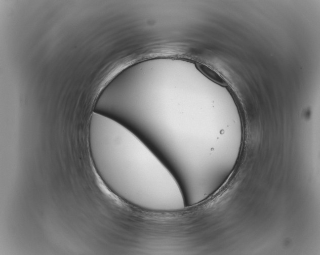 X0000090711433200707200941