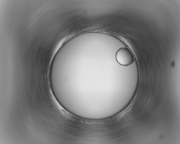 X0000090711434200707200941
