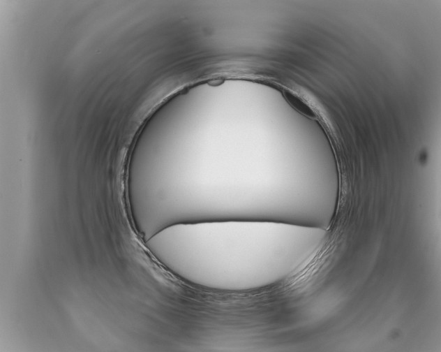 X0000090711435200707200941