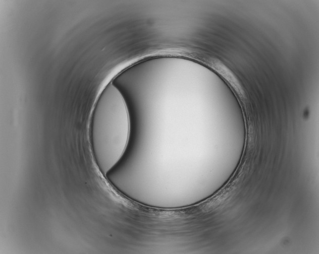 X0000090711436200707200941