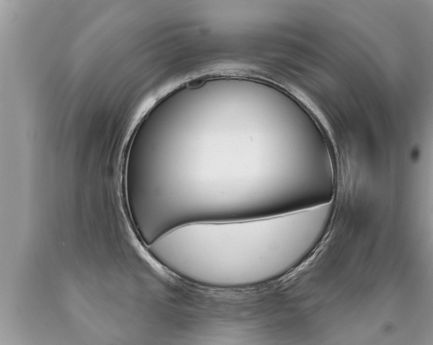 X0000090711437200707200941