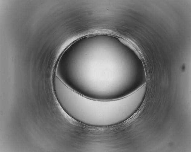 X0000090711438200707200941