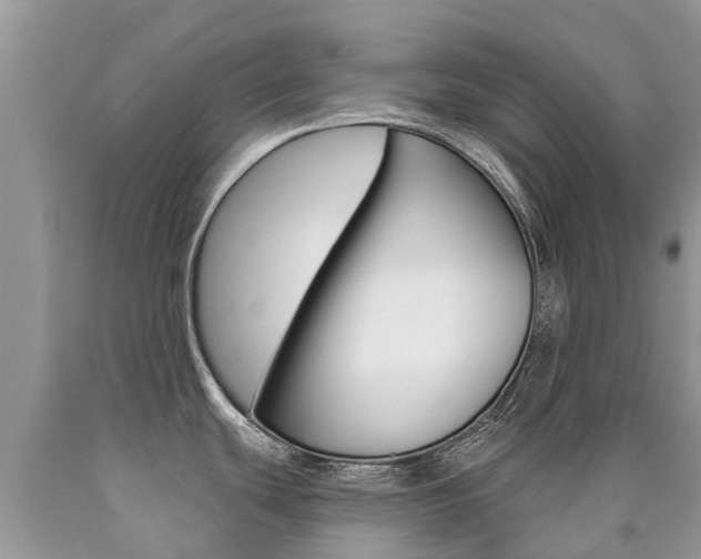 X0000090711439200707200941