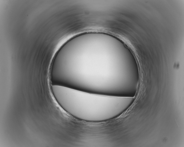 X0000090711440200707200941