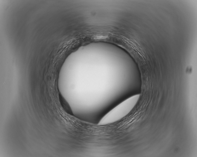 X0000090711441200707200941