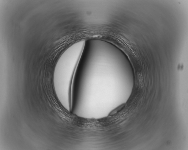 X0000090711442200707200941