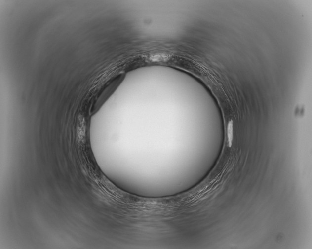 X0000090711443200707200941