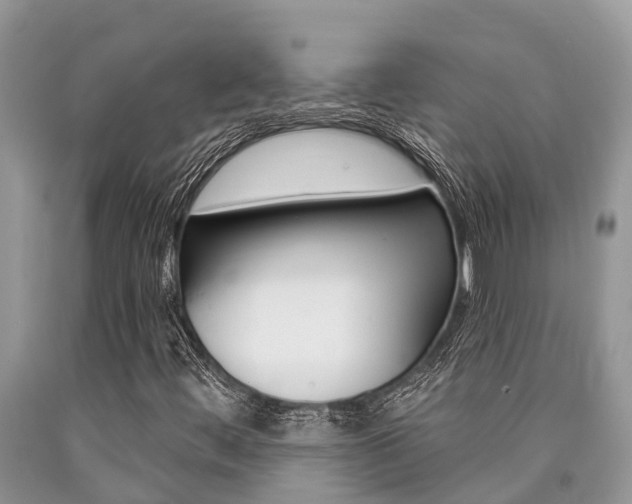 X0000090711444200707200941