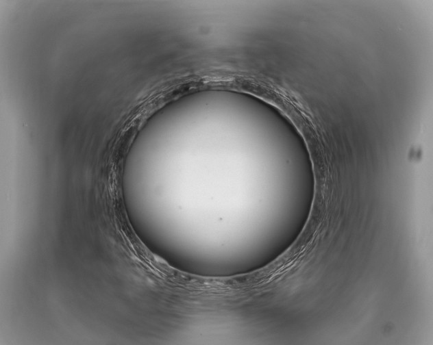 X0000090711445200707200941