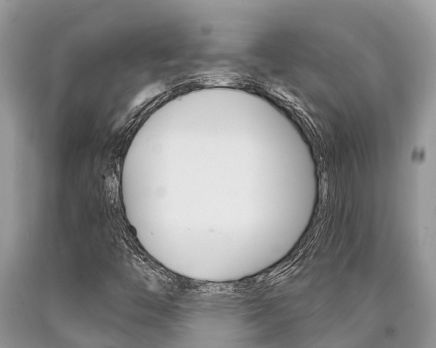 X0000090711446200707200941